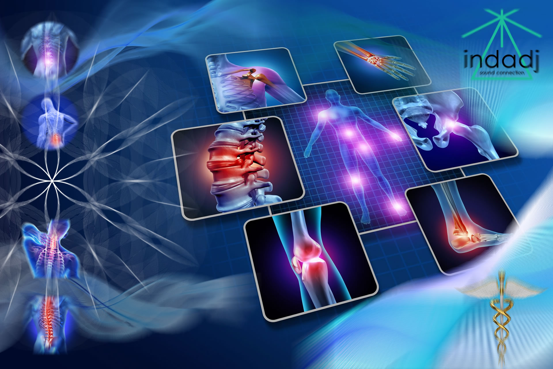 Лечебные, музыкальные матрицы Гаряева Петра Петрорвича